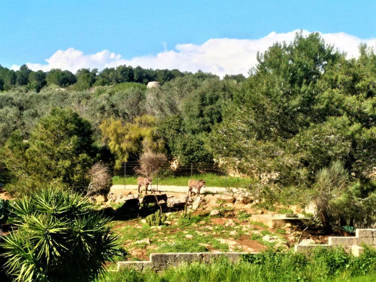 Appartamento Le colonie Presicce Esterno foto